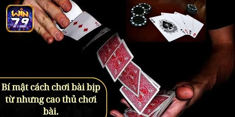 Bí mật cách chơi bài bịp từ những cao thủ chơi bài.