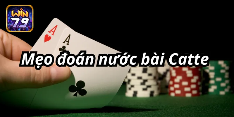 Cách đoán nước bài Catte chi tiết