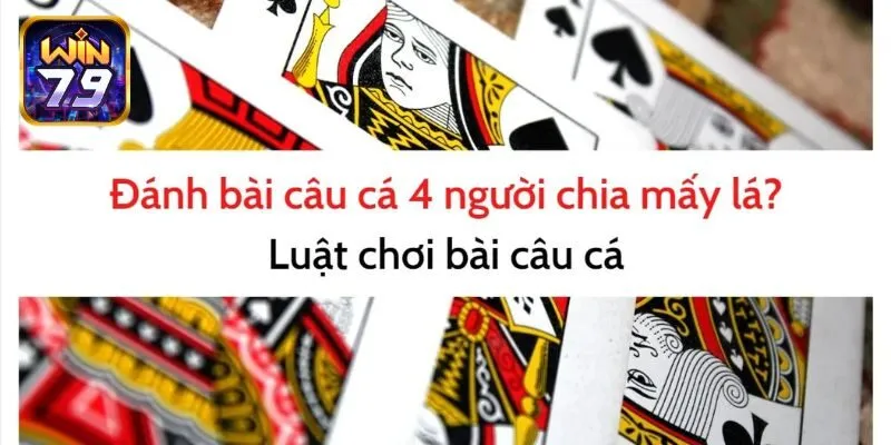 Bài Câu Cá - Tựa Game Giải Trí Thú Vị, Hấp Dẫn Mọi Bet Thủ Hiện Nay