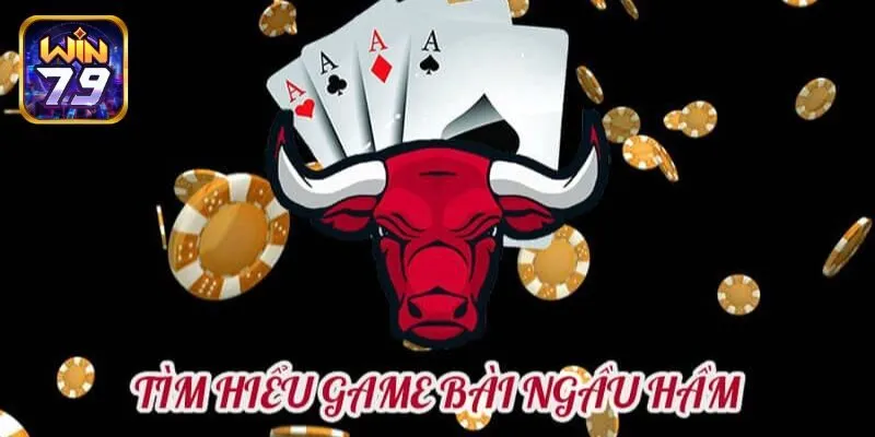 Bài ngầu hầm là gì?