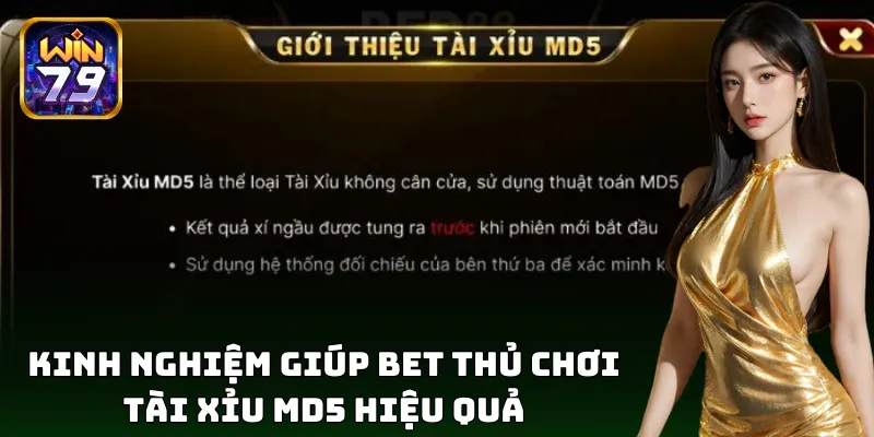 Mẹo đặt cược thông minh cùng hệ thống Tài Xỉu MD5