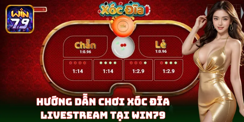 Cách chơi Xóc Đĩa Livestream chuẩn xác cho người mới bắt đầu