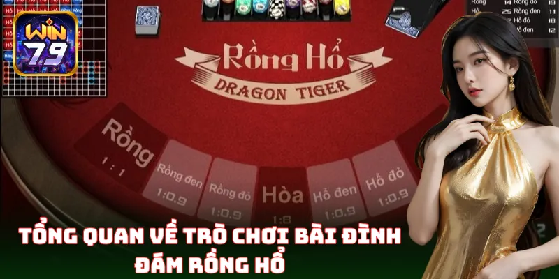 Khái quát về tựa game online Rồng Hổ